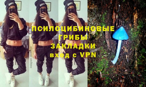 a pvp Алзамай